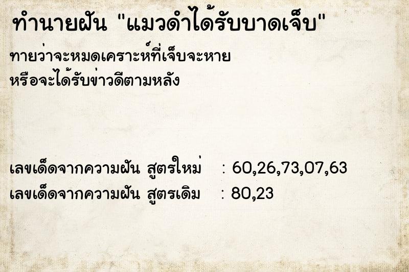 ทำนายฝัน แมวดำได้รับบาดเจ็บ