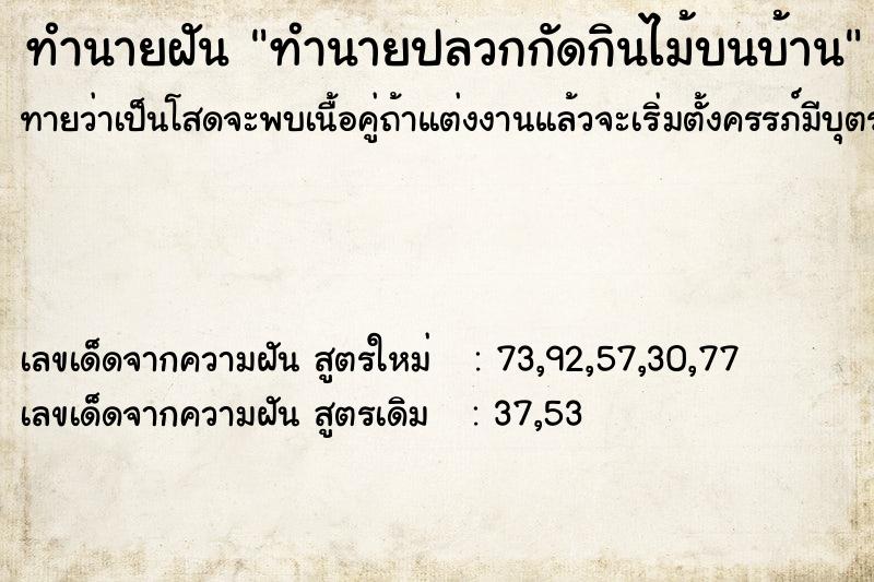 ทำนายฝัน ทำนายปลวกกัดกินไม้บนบ้าน