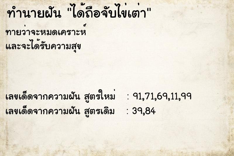 ทำนายฝัน ได้ถือจับไข่เต่า