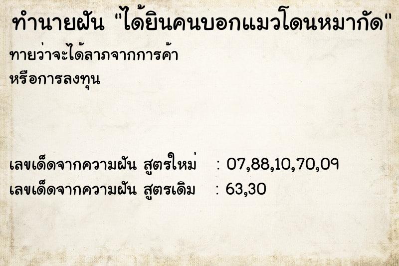 ทำนายฝัน ได้ยินคนบอกแมวโดนหมากัด