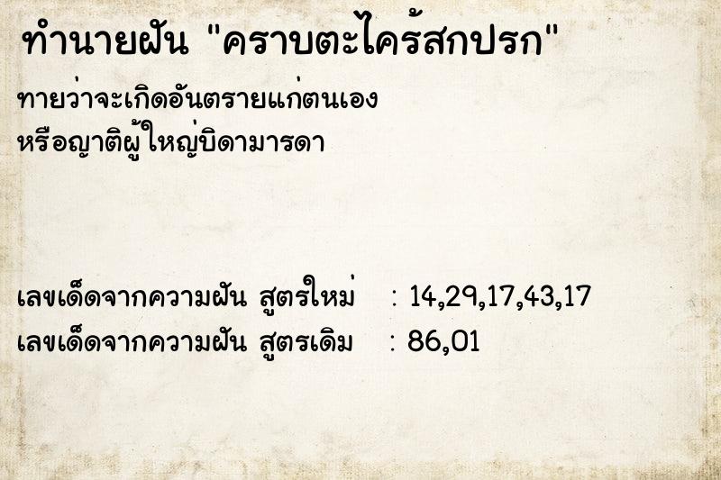 ทำนายฝัน คราบตะไคร้สกปรก