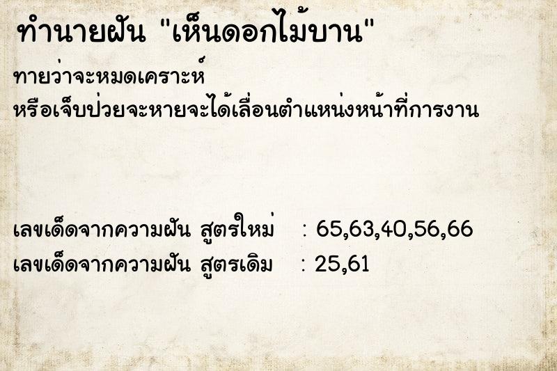 ทำนายฝัน เห็นดอกไม้บาน