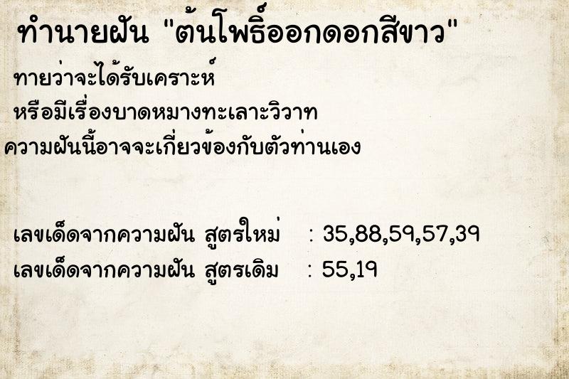 ทำนายฝัน ต้นโพธิ์ออกดอกสีขาว