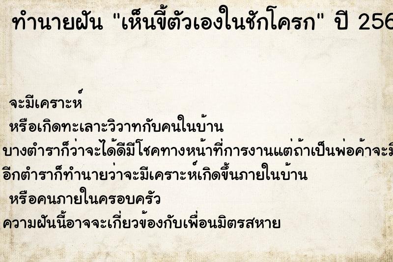 ทำนายฝัน เห็นขี้ตัวเองในชักโครก