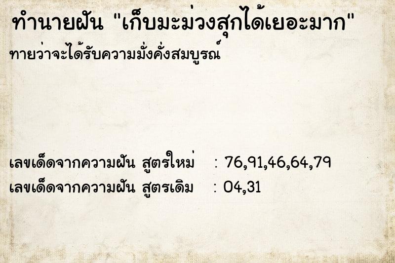 ทำนายฝัน เก็บมะม่วงสุกได้เยอะมาก