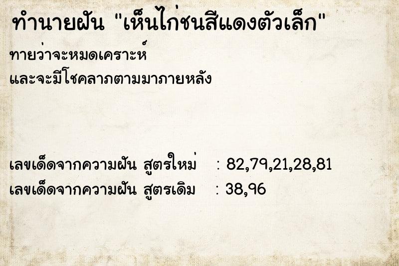 ทำนายฝัน เห็นไก่ชนสีแดงตัวเล็ก