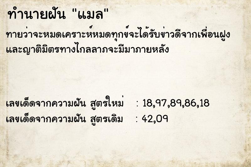 ทำนายฝัน แมล