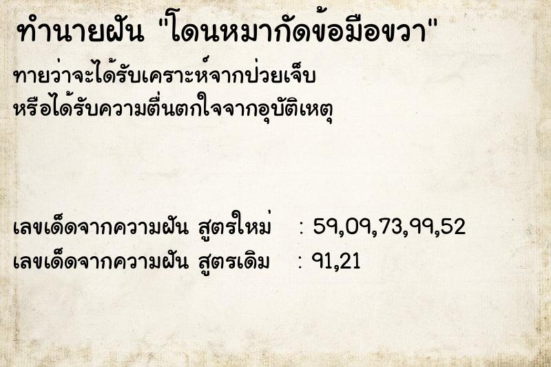 ทำนายฝัน โดนหมากัดข้อมือขวา