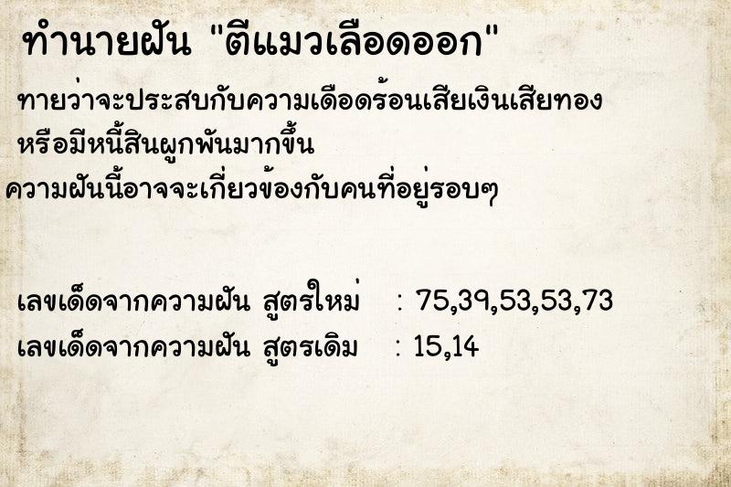 ทำนายฝัน ตีแมวเลือดออก  เลขนำโชค 