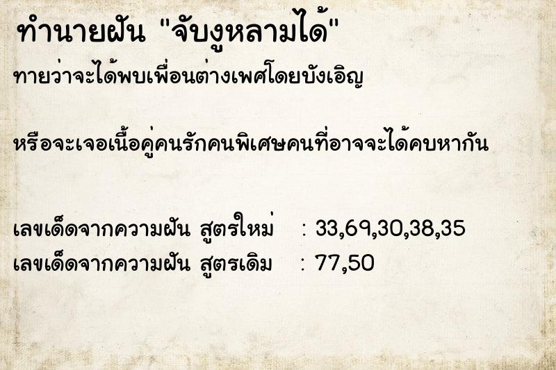 ทำนายฝัน จับงูหลามได้