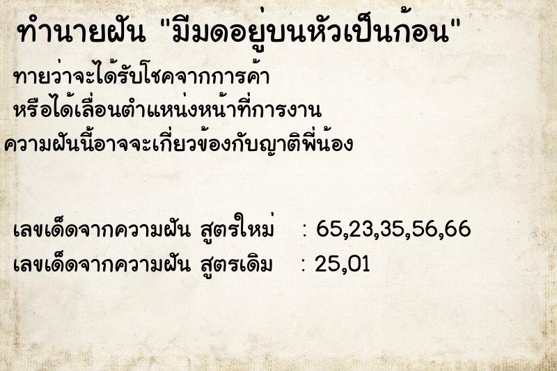 ทำนายฝัน มีมดอยู่บนหัวเป็นก้อน