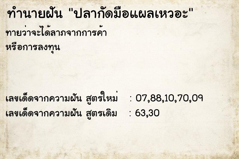 ทำนายฝัน ปลากัดมือแผลเหวอะ