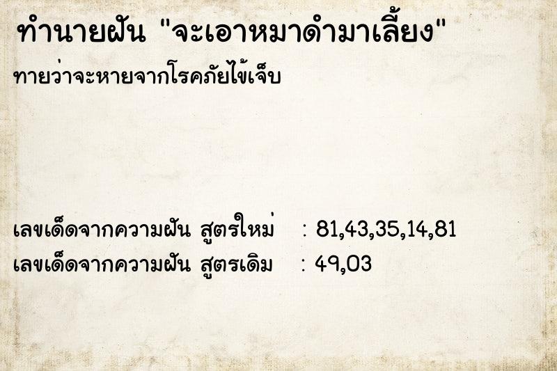 ทำนายฝัน จะเอาหมาดำมาเลี้ยง  เลขนำโชค 