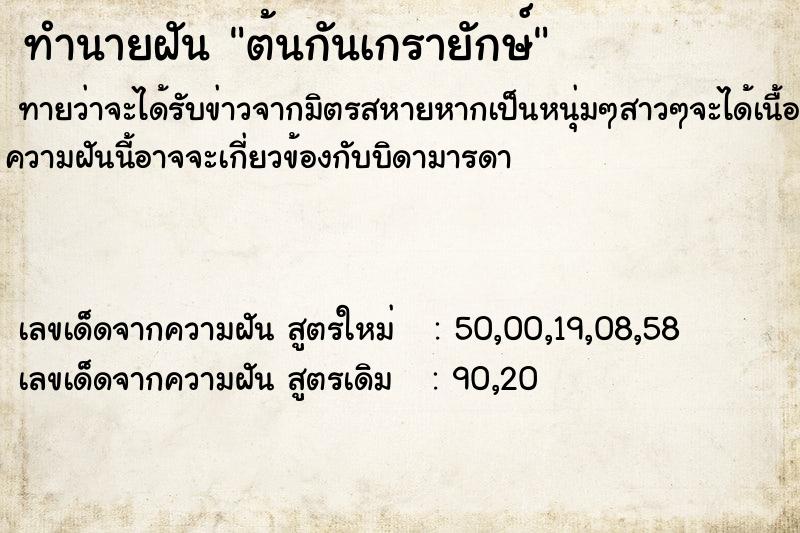 ทำนายฝัน ต้นกันเกรายักษ์