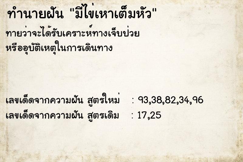 ทำนายฝัน มีไข่เหาเต็มหัว  เลขนำโชค 