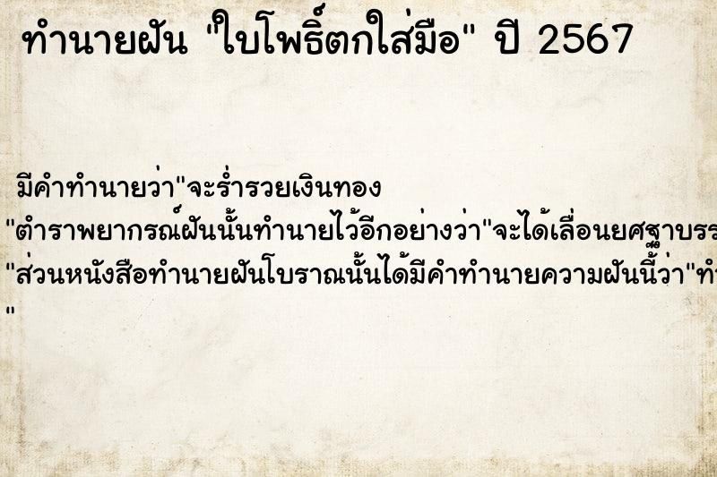 ทำนายฝัน #ทำนายฝัน #ใบโพธิ์ตกใส่มือ  เลขนำโชค 