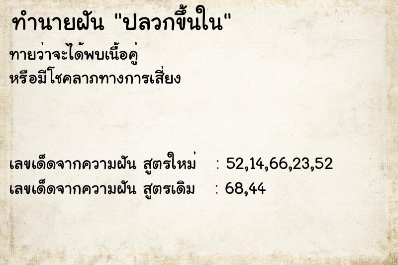 ทำนายฝัน ปลวกขึ้นใน