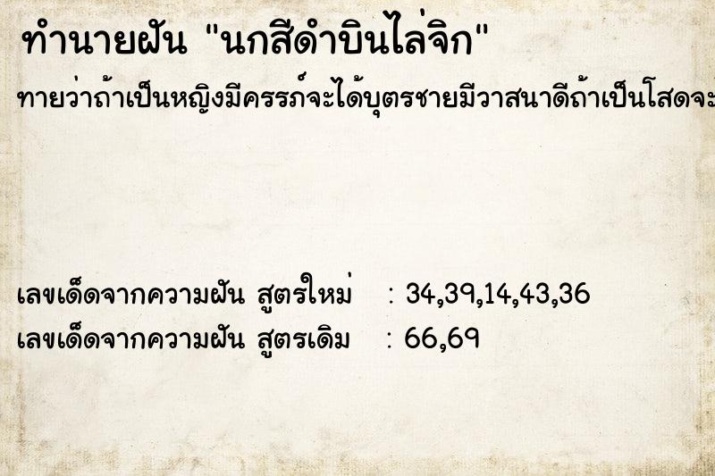 ทำนายฝัน นกสีดำบินไล่จิก