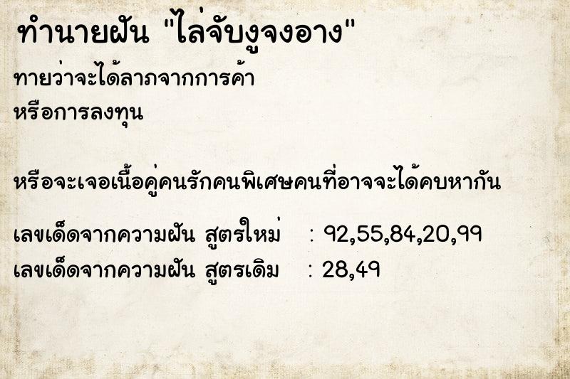 ทำนายฝัน ไล่จับงูจงอาง