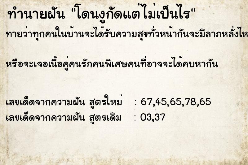 ทำนายฝัน โดนงูกัดแต่ไม่เป็นไร