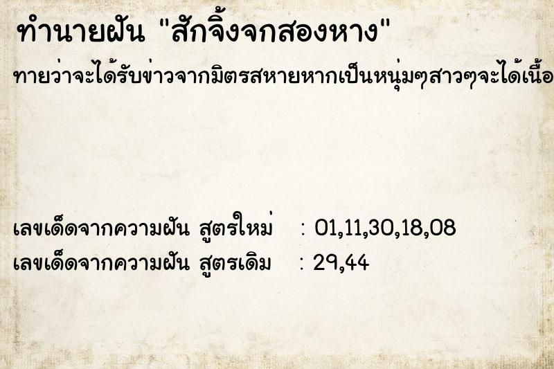 ทำนายฝัน สักจิ้งจกสองหาง