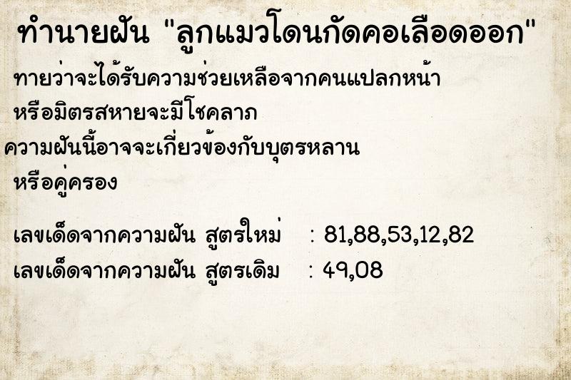 ทำนายฝัน ลูกแมวโดนกัดคอเลือดออก