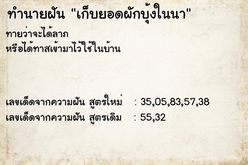 ทำนายฝัน เก็บยอดผักบุ้งในนา