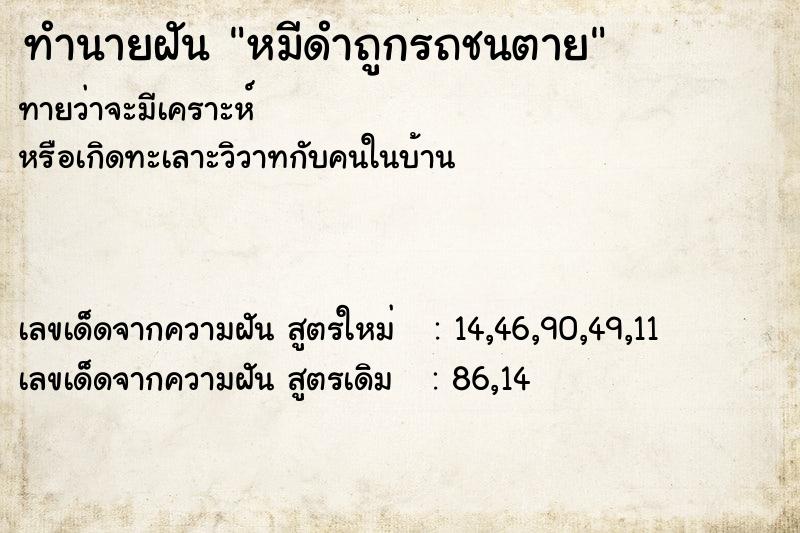 ทำนายฝัน หมีดำถูกรถชนตาย