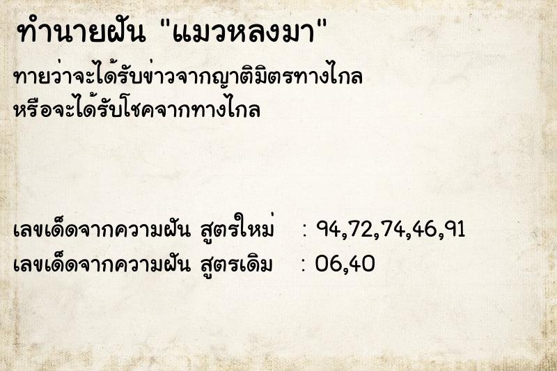 ทำนายฝัน แมวหลงมา