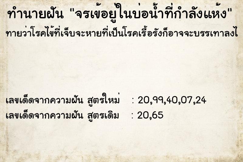 ทำนายฝัน จรเข้อยู่ในบ่อน้ำที่กำลังแห้ง