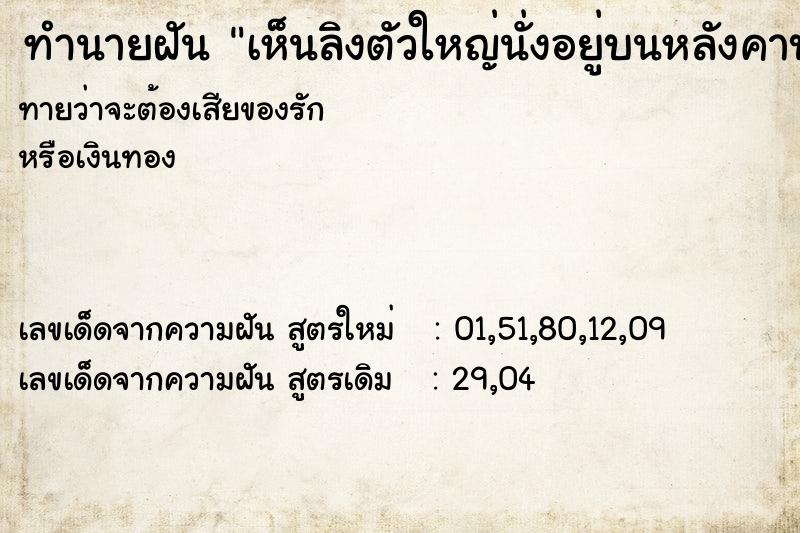 ทำนายฝัน เห็นลิงตัวใหญ่นั่งอยู่บนหลังคาบ้าน