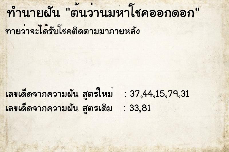 ทำนายฝัน ต้นว่านมหาโชคออกดอก