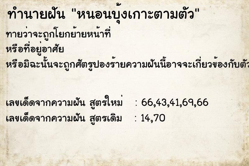 ทำนายฝัน หนอนบุ้งเกาะตามตัว