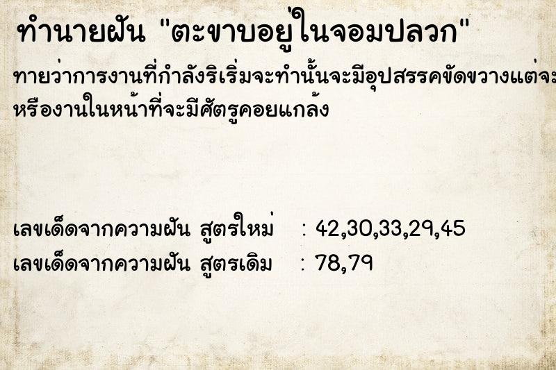 ทำนายฝัน ตะขาบอยู่ในจอมปลวก