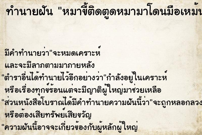 ทำนายฝัน หมาขี้ติดตูดหมามาโดนมือเหม้นมาก