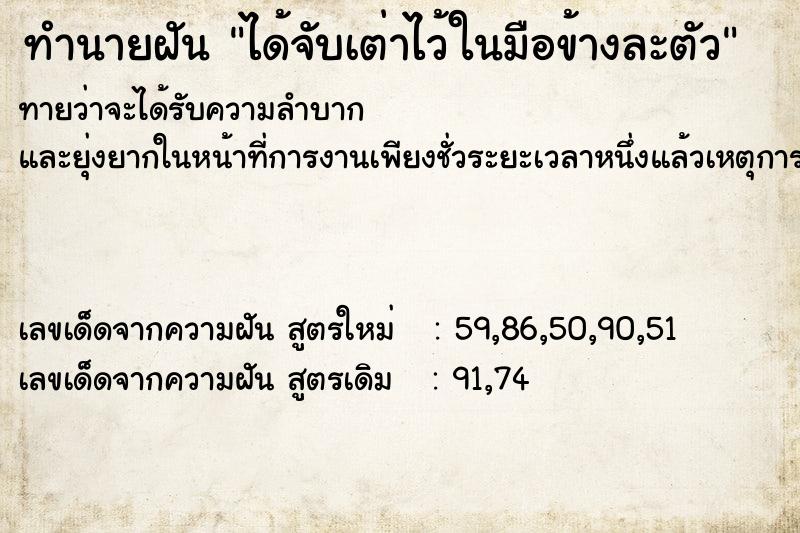 ทำนายฝัน ได้จับเต่าไว้ในมือข้างละตัว