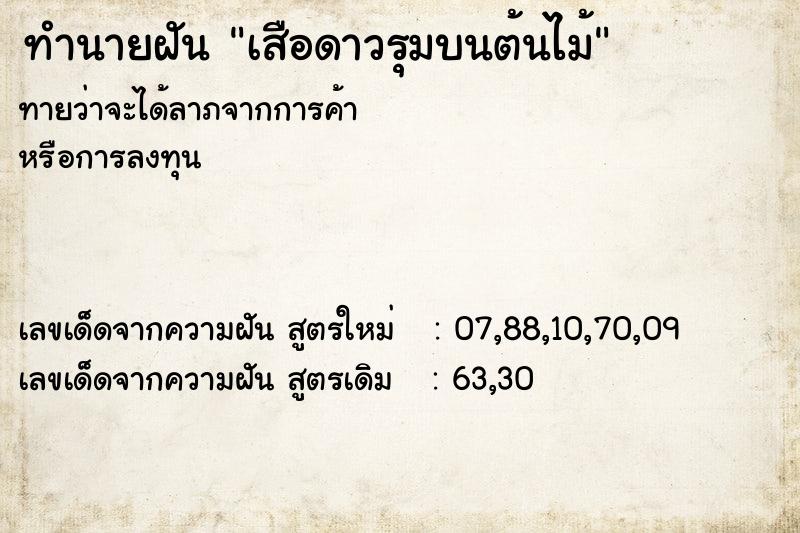 ทำนายฝัน เสือดาวรุมบนต้นไม้