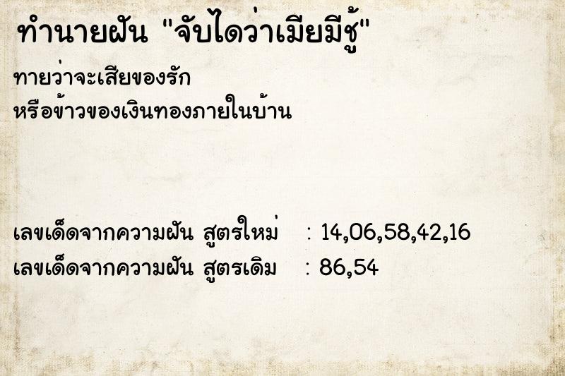 ทำนายฝัน จับไดว่าเมียมีชู้