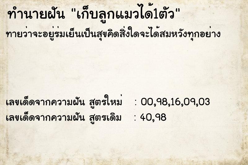 ทำนายฝัน เก็บลูกแมวได้1ตัว