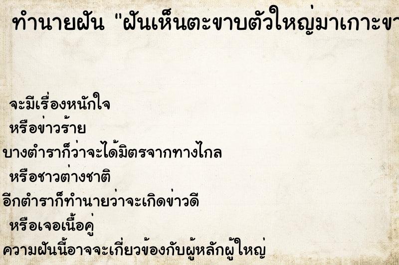 ทำนายฝัน ฝันเห็นตะขาบตัวใหญ่มาเกาะขา