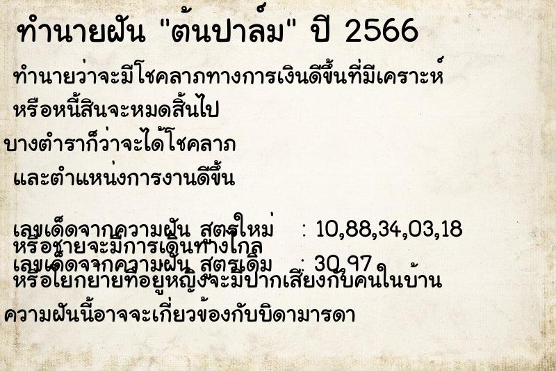 ทำนายฝัน ต้นปาล์ม