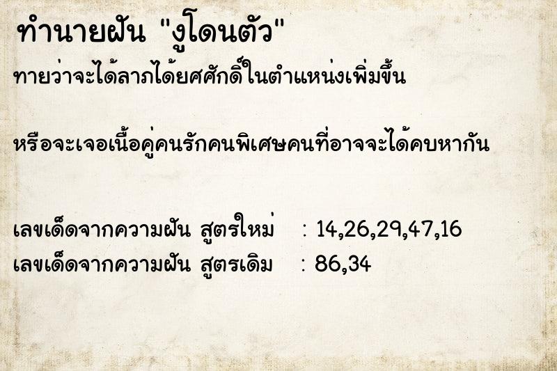 ทำนายฝัน งูโดนตัว