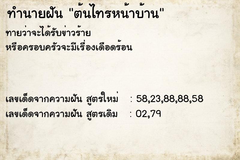 ทำนายฝัน ต้นไทรหน้าบ้าน