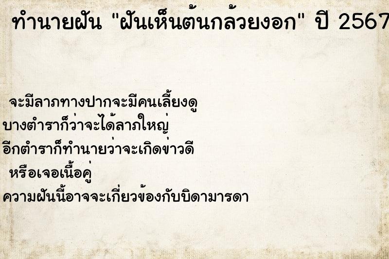 ทำนายฝัน ฝันเห็นต้นกล้วยงอก