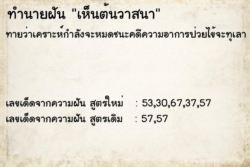 ทำนายฝัน เห็นต้นวาสนา