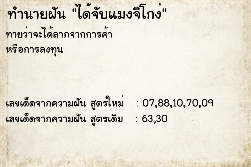 ทำนายฝัน ได้จับแมงจิโกง่