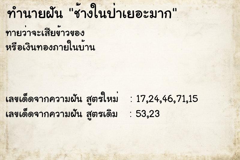 ทำนายฝัน ช้างในป่าเยอะมาก