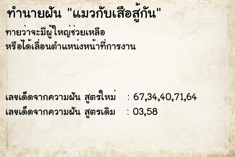 ทำนายฝัน แมวกับเสือสู้กัน