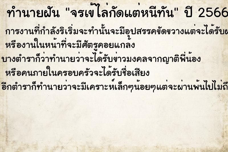 ทำนายฝัน จรเข้ไล่กัดแต่หนีทัน