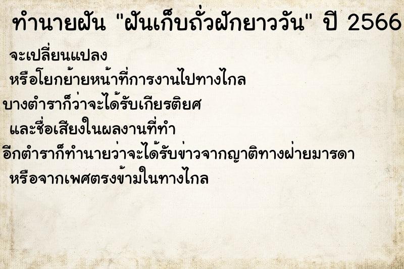 ทำนายฝัน ฝันเก็บถั่วฝักยาววัน